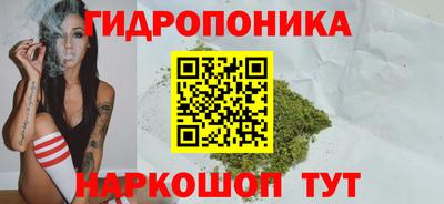 прущие грибы Балашиха