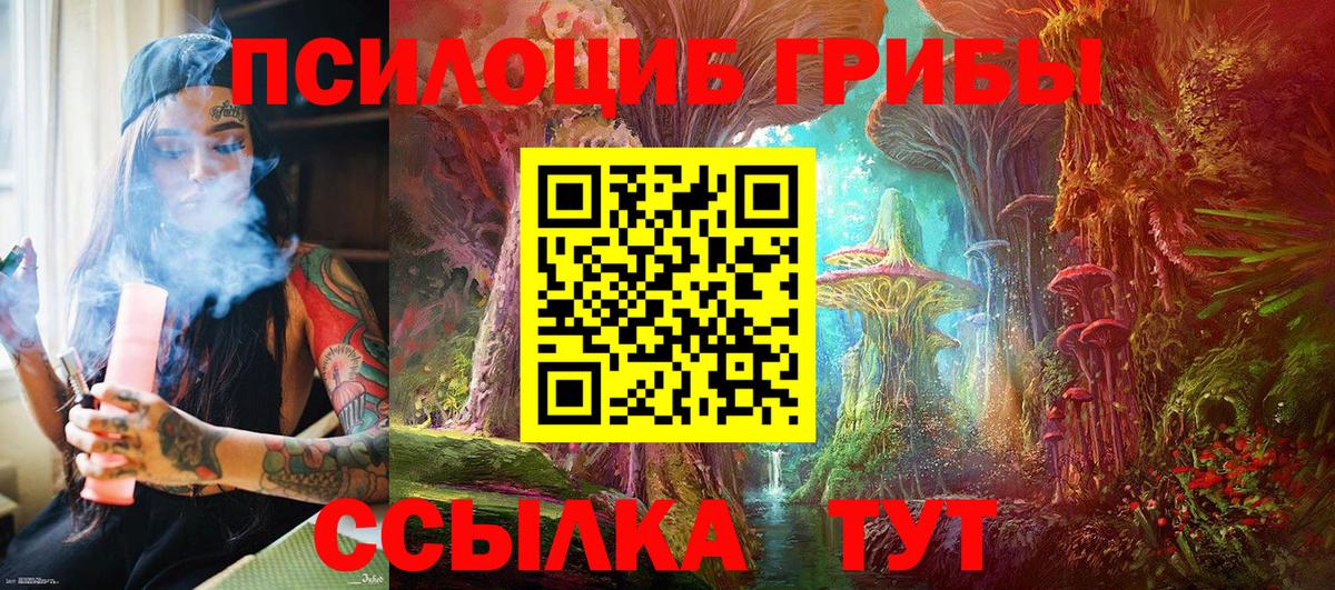 Псилоцибиновые грибы мицелий Аргун
